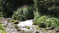 DSC02279 01